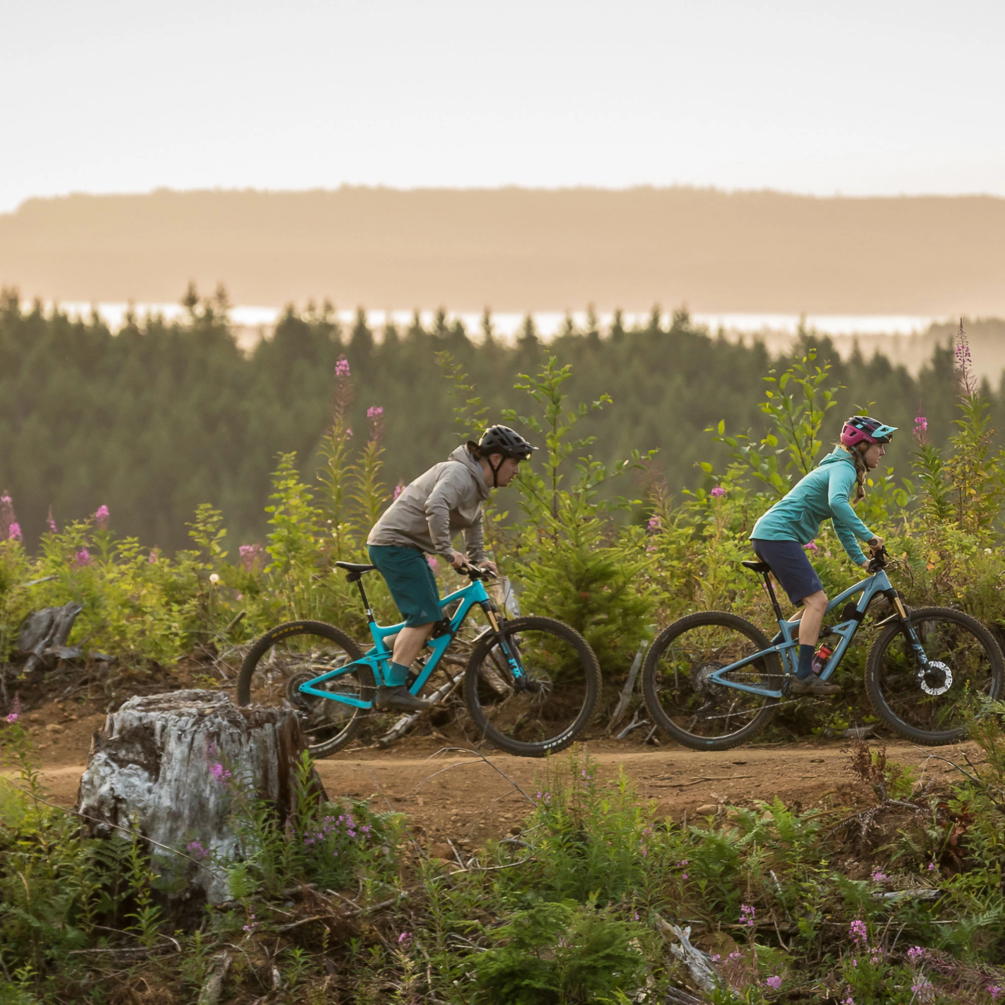 7mesh Glidepath MTB Short 11 7mesh Glidepath MTB Short - Image 11